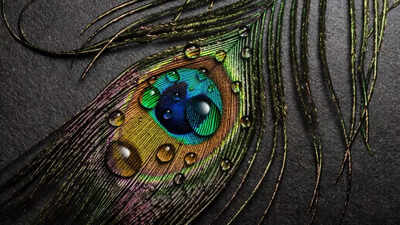 Significance and benefits of chanting "Hare Krishna Maha Mantra"