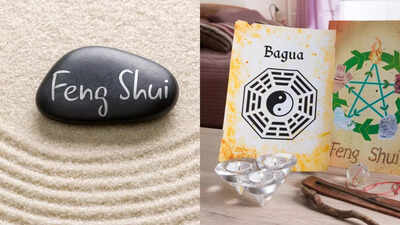 Feng Shui: This is the wealth corner of the house and ways to activate it!