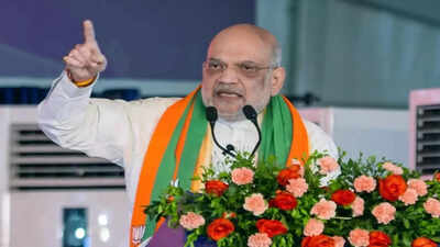 Delimitation needed to preserve one vote, one value: Amit Shah in Lok Sabha