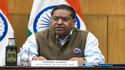 'We've seen some reports': MEA reacts to Trump's 'hell-hole' remark