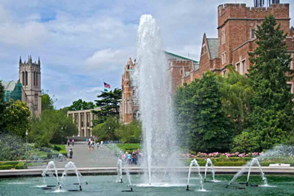 University of Washington professor fired from director role after sending email criticising Iran war