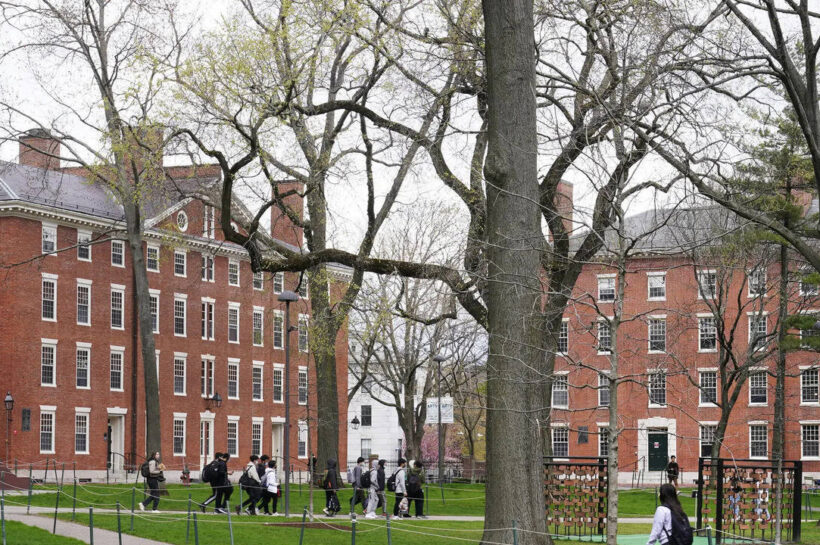 Harvard to discontinue Latin America journal ReVista after 28 years amid budget crunch