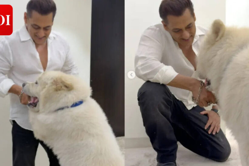 Salman Khan's latest pics with My Sukh prove he is the happiest with his pet dog- PICS |