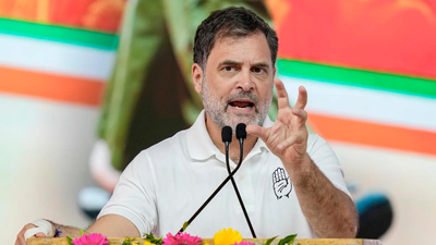 Allahabad high court stays FIR order against Rahul Gandhi in dual citizenship case