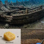 2,200-year-old Roman shipwreck reveals the secret formula that kept ancient ships afloat