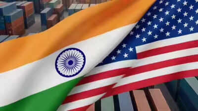'Concerns should be addressed bilaterally': No need for unilateral 301 probe, India to US