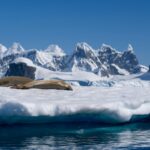 Antarctica’s “point of no return”: Scientists warn the meltdown may be unstoppable