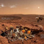 Can Earth’s fungi survive on Mars? NASA study reveals surprising answers