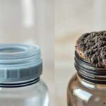 Freshness first: Why your water bottle smells funky even after a wash |