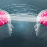 ‘Cutest thing ever’: The viral ‘Twin Telepathy Challenge’ is winning hearts on the internet |