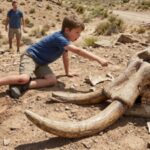 In 2016, a child tripped over bone fragments and accidentally led scientists to a million-year-old prehistoric mammal skull
