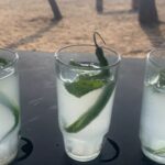 Indian heritage spirits Mahua and Goan Feni debut in UK market