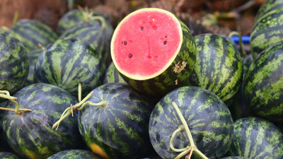 How to make watermelon ice-cold in 10 minutes without a refrigerator |
