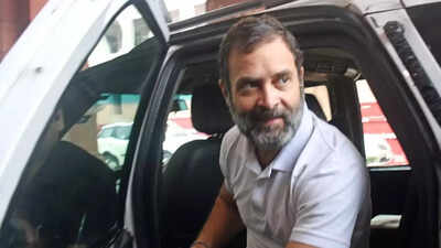 Allahabad high court judge recuses himself from Rahul Gandhi's dual citizenship case