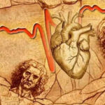 Leonardo Da Vinci drew this heart structure 500 years ago: Scientists may have just solved the mystery that may predict heart disease