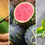 Essential foods to keep you cool all summer long