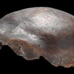 Mysterious German skull found in 1973 was once thought to be a Neanderthal hybrid; new study reveals the truth