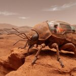 NASA rover images and the “insect on Mars” claim: What science really says