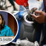 Government says no plan to hike fuel prices despite OMCs incurring losses