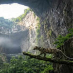 This giant 'heavenly pit' in China holds a hidden ecosystem below ground that has its own climate and wildlife