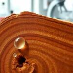 The wax trap: Why your polishing routine is robbing your wood furniture of its natural glow