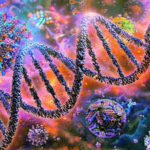1-time gene therapy can cut bad cholesterol by up to 62%: Study