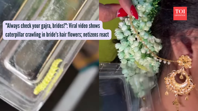 "Always check your gajra, brides!": Viral video shows caterpillar crawling in bride's hair flowers; netizens react