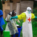 Ebola outbreak in DR Congo: Over 80 dead, 246 cases reported in Ituri province; health emergency declared