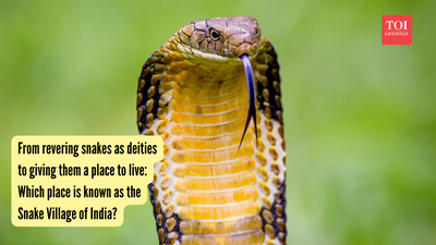 From revering snakes as deities to giving them a place to live: Which place is known as the Snake Village of India?