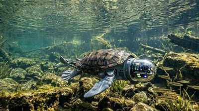15-year-old Canadian boy built a robotic turtle that can detect underwater environmental threats with 96% accuracy