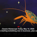 Cancer Horoscope Today, May 14, 2026: If you’re starting something new in business, plan cash flow