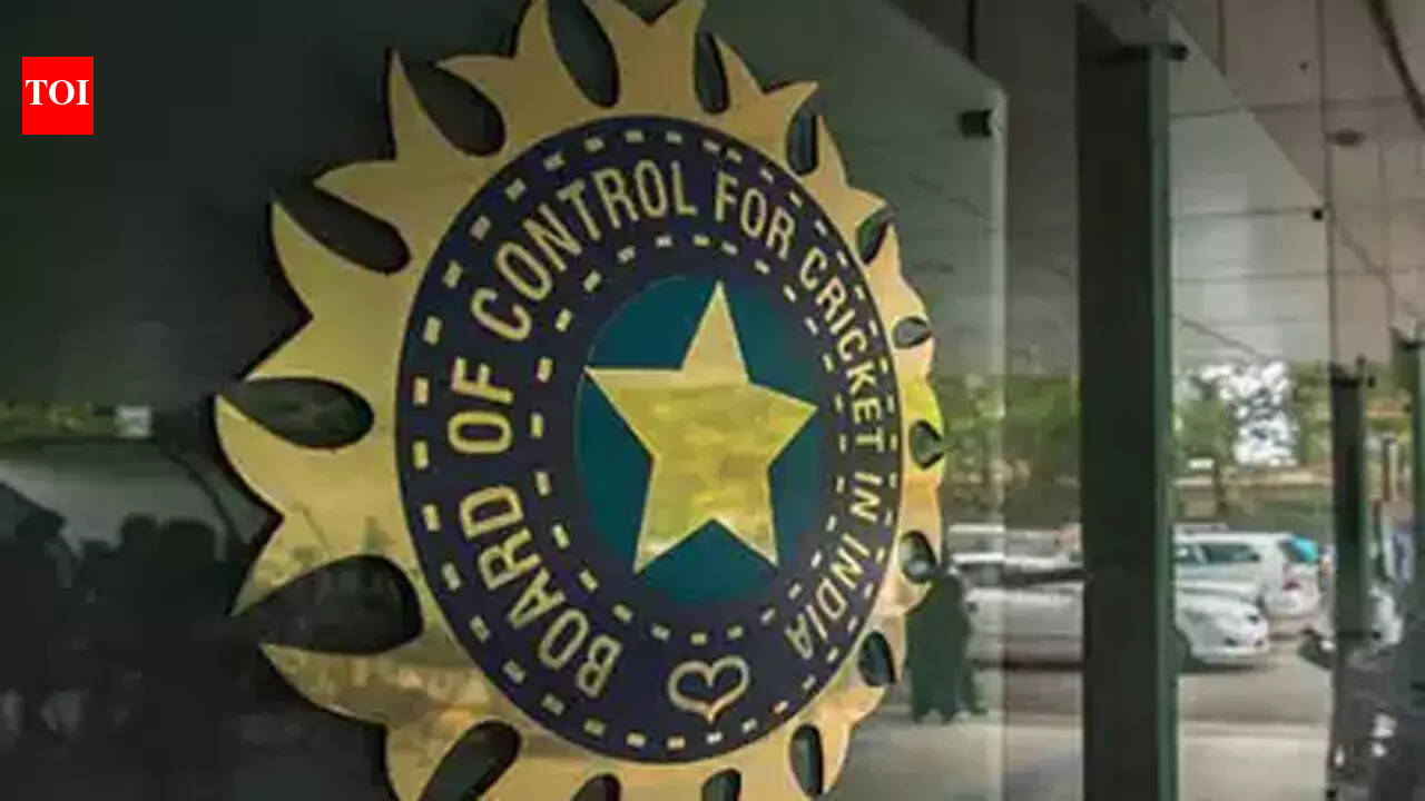 CIC warns superimposed govt control could disrupt ‘finely balanced’ economic structure
