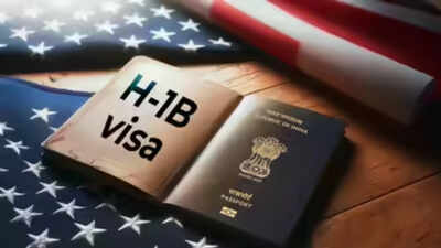 Failed 3 H1-B attempts: Indian professional in US says ‘visa anxiety is a permanent subscription’, plans return to be with family