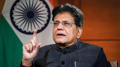 Govt weighing steps to check current account deficit: Piyush Goyal