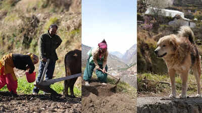 ‘Beauty alone cannot feed family’: Why Uttarakhand’s villages are falling silent
