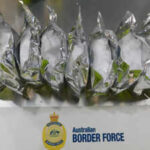 Indian national arrested after $5.6 million meth-making chemical found hidden in food consignment at Sydney port