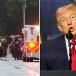 'Obsession with our country's most cherished structure': Trump reacts to White House shooting