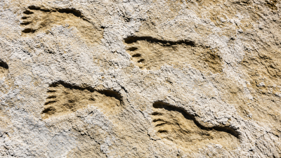23,000-year-old footprints in New Mexico changed everything scientists believed about the first Americans