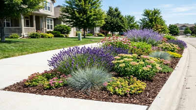 These low-water plants make sunny sidewalk strips look expensive with less watering |