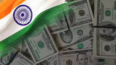 Bankers pitch RBI-backed FX hedge