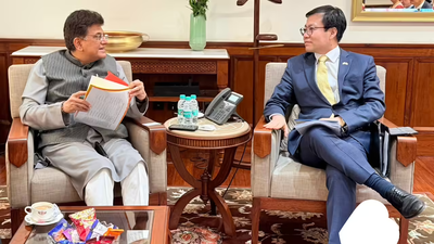 India-South Korea trade pact review meeting likely on May 25: report