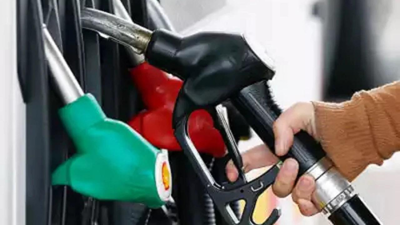 India has enough petrol, diesel and LPG stocks; no fuel rationing planned: Centre