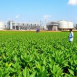 No fertiliser shortage for Kharif sowing, says Centre; govt urges farmers not to panic buy