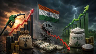 US-Iran war impact on India: FM Sitharaman stresses on 3Fs - fuel, fertilisers & forex; here’s why