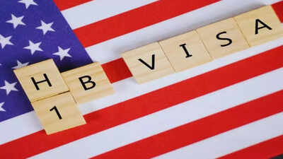 'Is the fight for Green Card worth it?' H-1B visa holder says he has decent money but can see parents once every two years