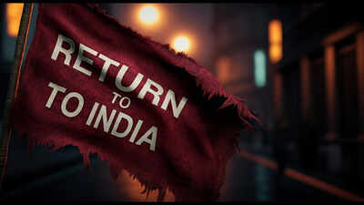 'I have realized something': Redditor shares one-year experience of living in India after spending 12 years in US