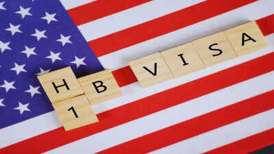 'At least 3 fewer Indians': Woman's post on Meta layoff affecting H-1B visa holder with wife and kid in Seattle draws flak