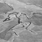 In 1861, a single feather found in a limestone quarry became the fossil that bridged the gap between dinosaurs and birds