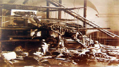 In 1878, coal miners struck a glittering seam of 'fool's gold' and unearthed a massive dinosaur graveyard