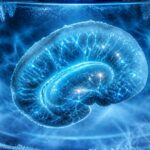 Brain revived: Scientists froze brain tissue to −196°C and it started working again